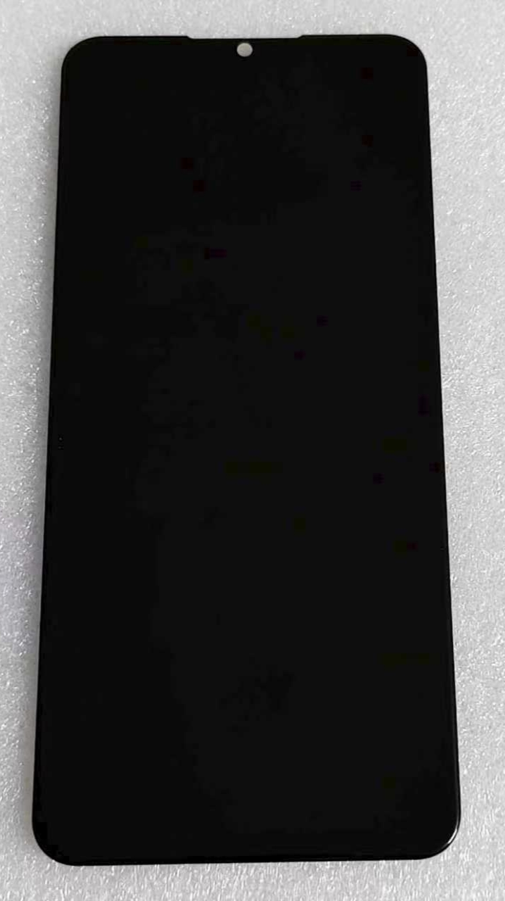 �|�����w����Ό��Fһ�w�ڹ�ˇ   